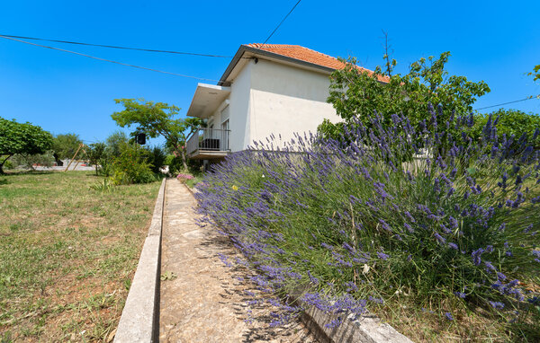 Domy wakacyjne - Zadar - Debeljak , Chorwacja - CDI450 101