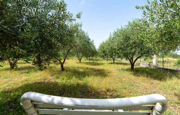 Kuća-za-odmor - Zadar - Pridraga , Hrvatska - CDI486 106