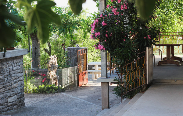 Ferienhaus - Zadar - Popovici , Kroatien - CDI535 102