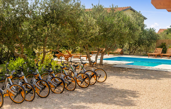 Ferieleilighet - Zadar - Bibinje , Kroatia - CDI652 12