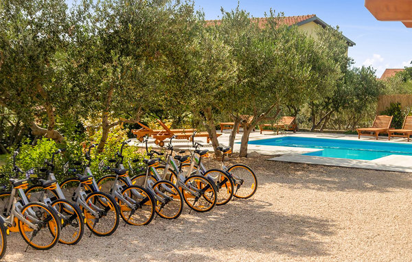 Apartment - Zadar - Bibinje , Croatia - CDI655 7