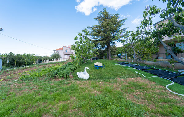Appartamento - Zadar - Sukosan , Croazia - CDI750 101