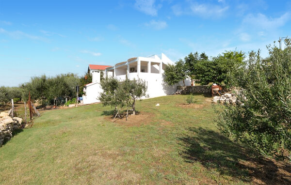Apartment - Zadar - Rtina , Croatia - CDI878 101