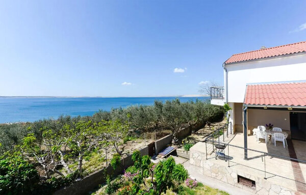 Apartment - Zadar - Rtina , Croatia - CDI878 201