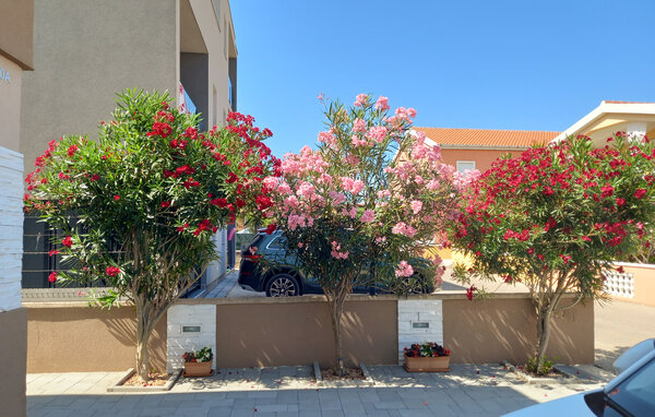 Apartmá 