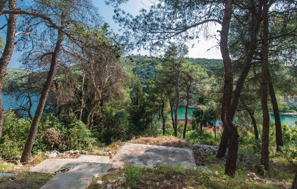 Ferienwohnung - Sibenik-Zaton , Kroatien - CDJ487 104