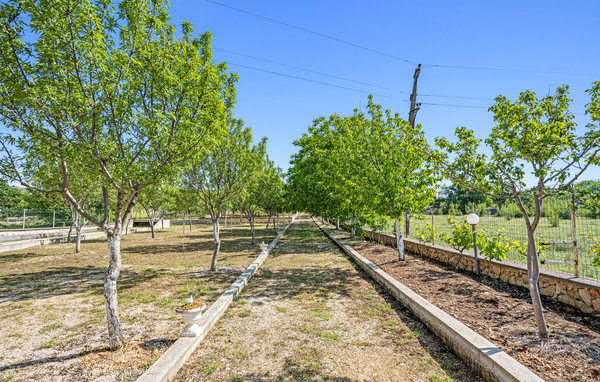 Domy wakacyjne - Sibenik - Unesic , Chorwacja - CDJ777 102
