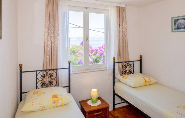 Semesterhus - Solta-Rogac , Kroatien - CDO107 607
