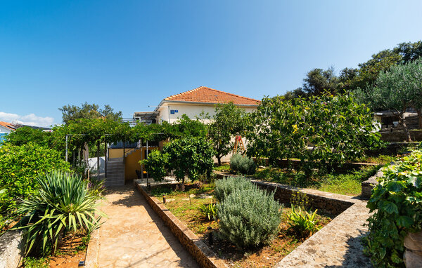 Apartament - Solta - Necujam , Chorwacja - CDO236 102