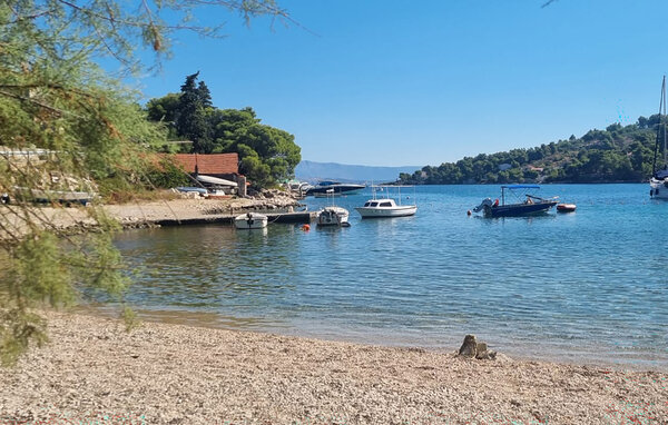 Appartement - Solta - Rogac , Croatie - CDO253 901