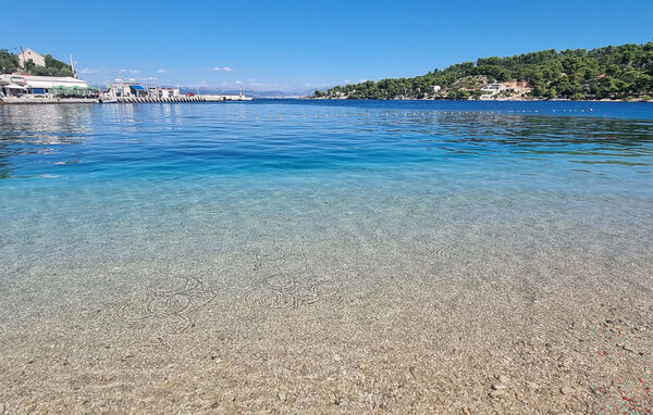 Appartement - Solta - Rogac , Croatie - CDO253 902