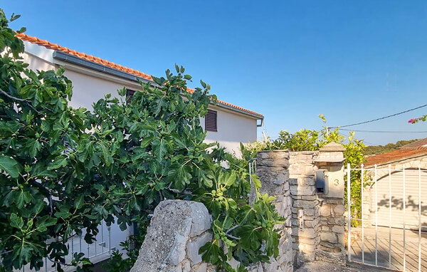 Appartement - Solta - Rogac , Croatie - CDO253 81