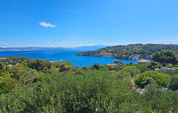 Appartement - Solta - Rogac , Croatie - CDO253 201