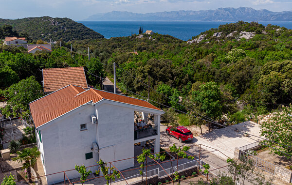 Ferienwohnung - Peljesac-Osobljava , Kroatien - CDP503 82
