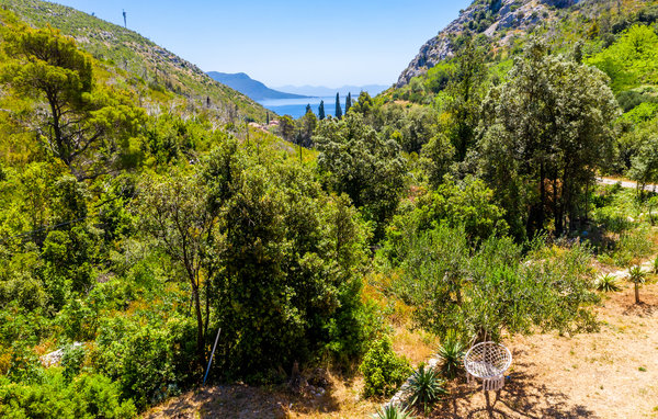 Domy wakacyjne - Peljesac-Trstenik , Chorwacja - CDP525 201