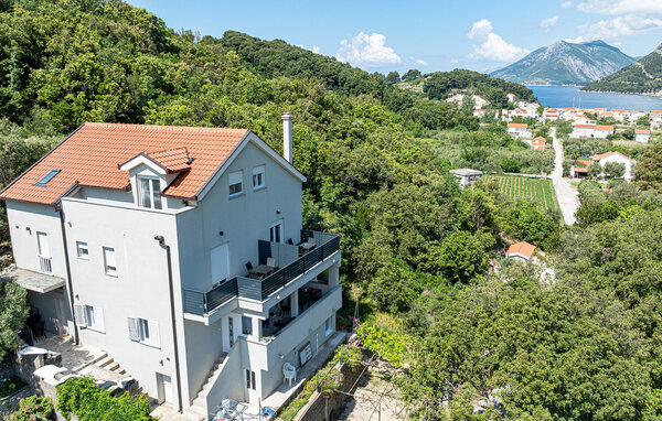 Appartement - Zuljana , Kroatië - CDP724 4