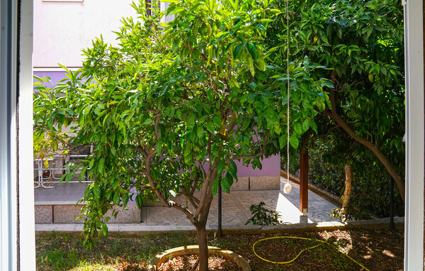 Apartamento - Peljesac - Viganj , Croacia - CDP752 101