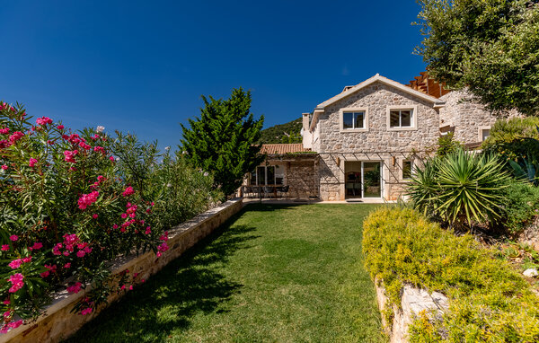 Feriehus - Peljesac-Dingac , Kroatien - CDP781 81