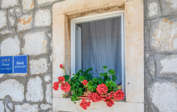 Apartament - Ploce-Blace , Chorwacja - CDR152 109