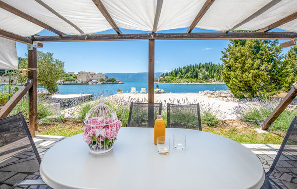 Apartament - Ploce-Blace , Chorwacja - CDR154 202