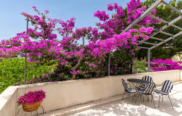 Ferienwohnung - Ploce-Klek , Kroatien - CDR489 103