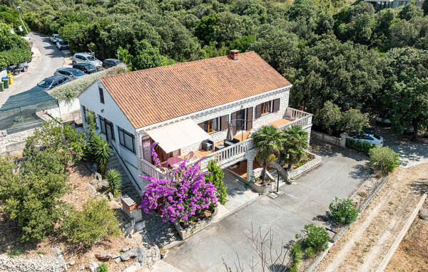 Appartamento - Korcula - Zrnovo , Croazia - CDS756 81
