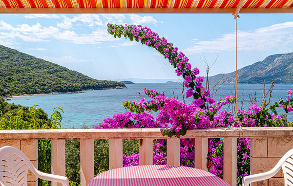 Appartamento - Korcula - Zrnovo , Croazia - CDS756 6