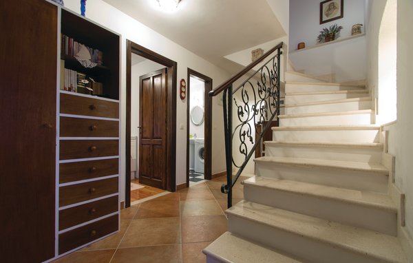 Domy wakacyjne - Korcula-Blato , Chorwacja - CDS802 502