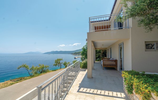 Domy wakacyjne - Korcula-Blato , Chorwacja - CDS812 101