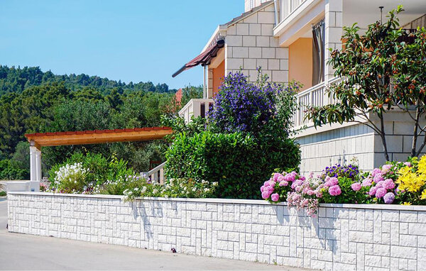 Apartament - Korcula - Lumbarda , Chorwacja - CDS913 105
