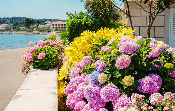 Ferienwohnung - Korcula - Lumbarda , Kroatien - CDS914 104
