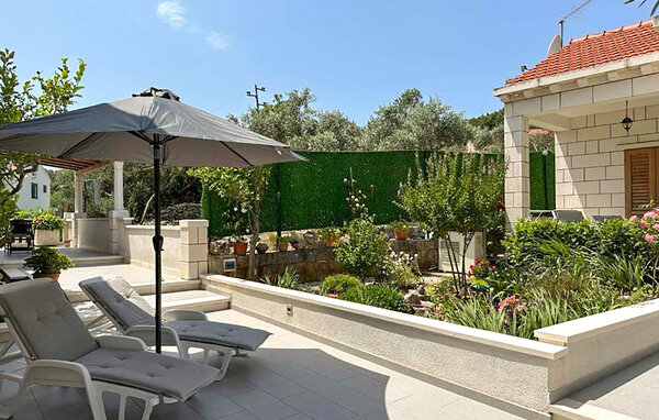 Appartement - Korcula - Lumbarda , Croatie - CDS915 103