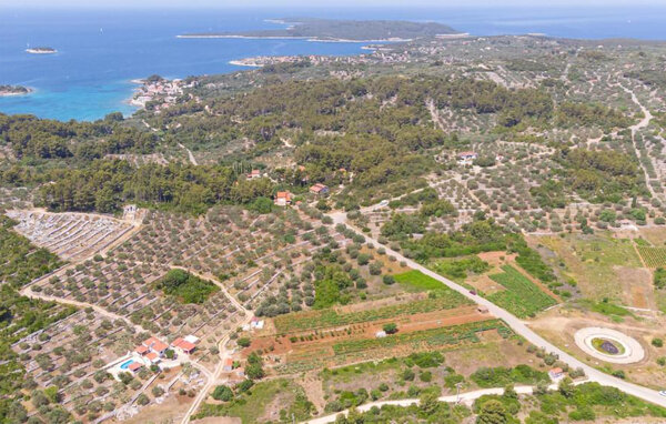 Domy wakacyjne - Korcula-Gradina , Chorwacja - CDS925 82
