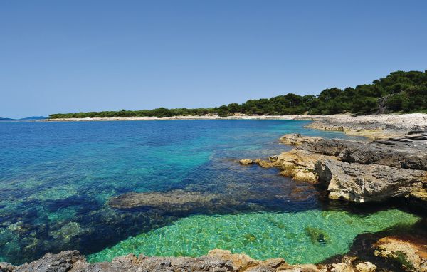 Domy wakacyjne - Dugi Otok-Dragove , Chorwacja - CDU256 905