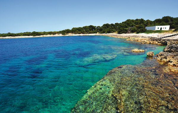Domy wakacyjne - Dugi Otok-Dragove , Chorwacja - CDU256 906