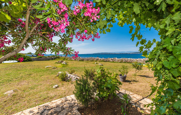 Ferienwohnung - Pasman - Dobropoljana , Kroatien - CDU572 102