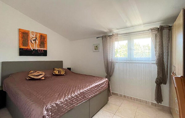 Domy wakacyjne - Dugi otok - Sali , Chorwacja - CDU646 603
