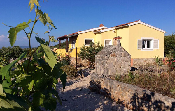 Domy wakacyjne - Dugi otok - Sali , Chorwacja - CDU646 81