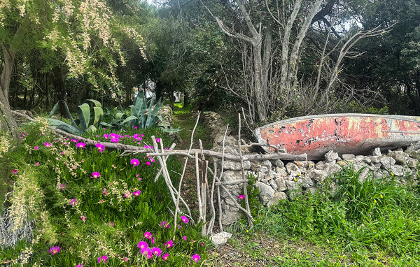 Ferienhaus - Silba , Kroatien - CDU647 102
