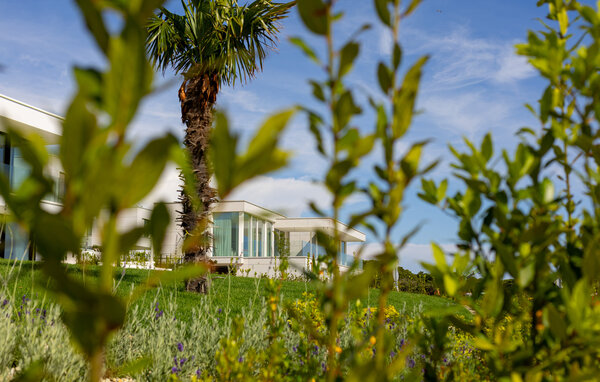 Domy wakacyjne - Ugljan , Chorwacja - CDU684 83