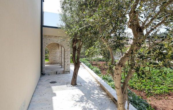 Appartement - Ugljan - Preko , Kroatië - CDU735 103