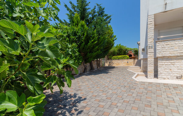 Apartament - Zadar - Maslenica , Chorwacja - CDY001 101