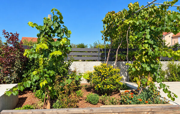 Ferienwohnung - Zadar - Sukosan , Kroatien - CDY094 102