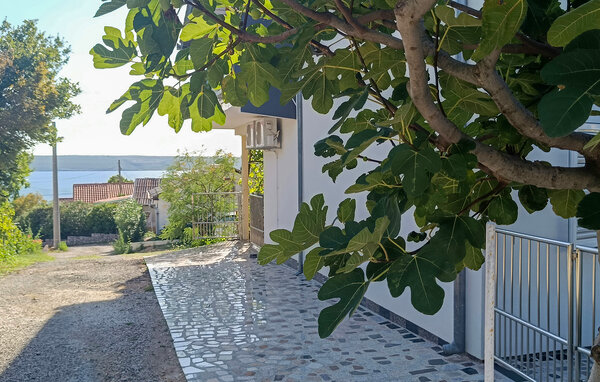 Ferienwohnung - Zadar-Maslenica , Kroatien - CDY107 101