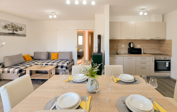 Domy wakacyjne - Zadar- Lisane Ostrovicke , Chorwacja - CDY206 4