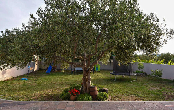 Ferienwohnung - Biograd-Sveti Petar na Moru , Kroatien - CDY226 101