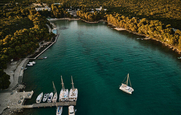 Apartman - Biograd , Hrvatska - CDY297 84
