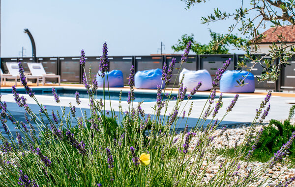 Holiday Home - Zadar - Debeljak , Croatia - CDY306 11