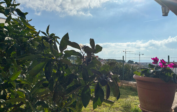 Lejlighed - Zadar , Kroatien - CDY326 4