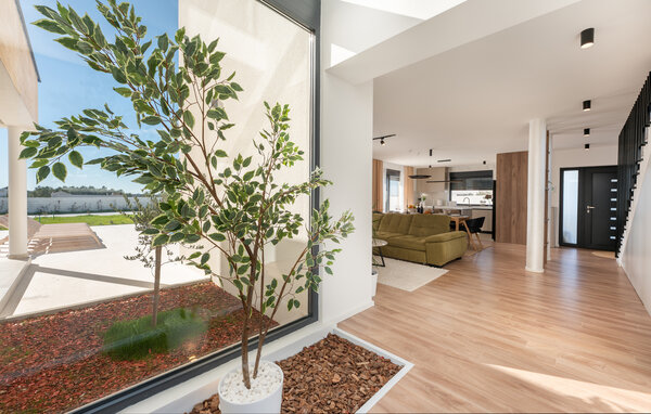 Domy wakacyjne - Zadar-Policnik , Chorwacja - CDY375 302